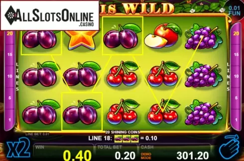 Win screen 2. 20 Shining Coins from Casino Technology