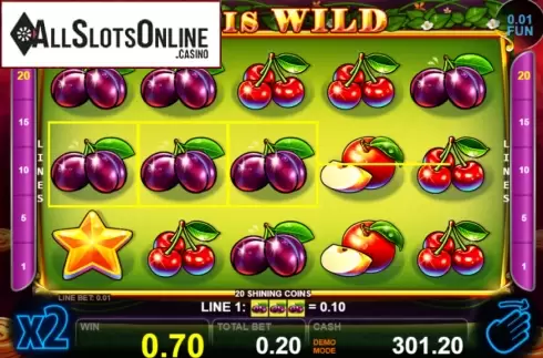 Win screen 3. 20 Shining Coins from Casino Technology