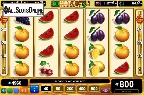 Reel screen. 40 Hot and Cash from EGT