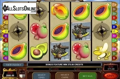 Bonus game win. Age of Discovery from Microgaming