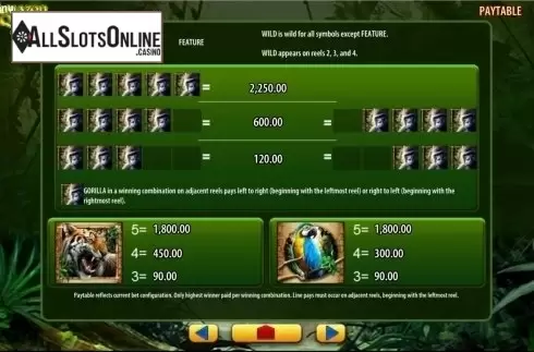 Screen5. Amazon Queen from WMS