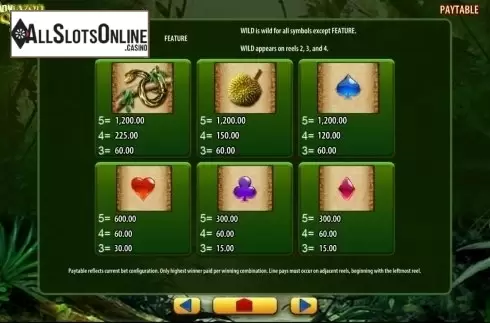 Screen6. Amazon Queen from WMS