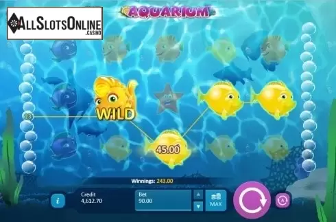 Screen 3. Aquarium from Playson