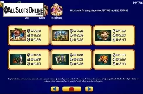 Paytable. Bier Haus from WMS
