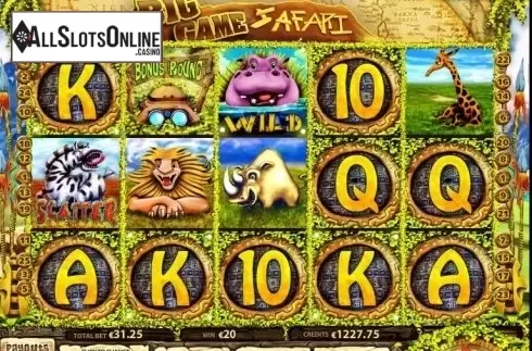 Big Game Safari