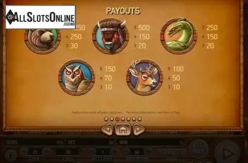 Paytable 3. Bird of Thunder from Habanero