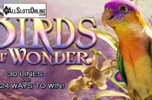 Birds of Wonder