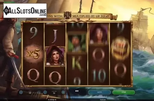 Spin Screen. Blackbeard's Buccaneers from Roxor Gaming