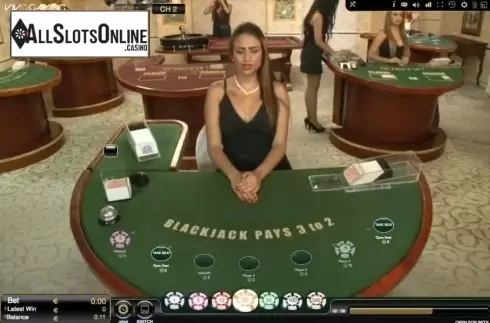 Game Screen. Blackjack Live Casino (Vivogaming) from Vivo Gaming