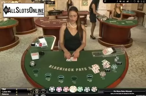 Game Screen. Blackjack Live Casino (Vivogaming) from Vivo Gaming