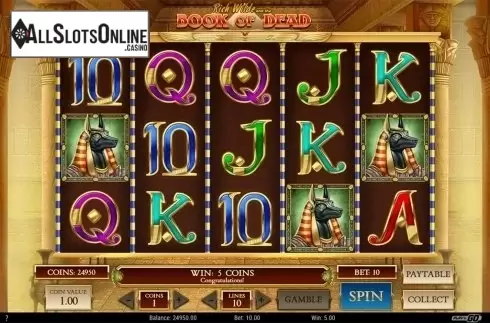 Win screen. Book of Dead from Play'n Go
