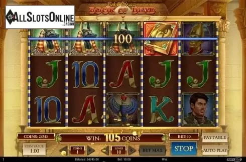 Wild win screen 2. Book of Dead from Play'n Go