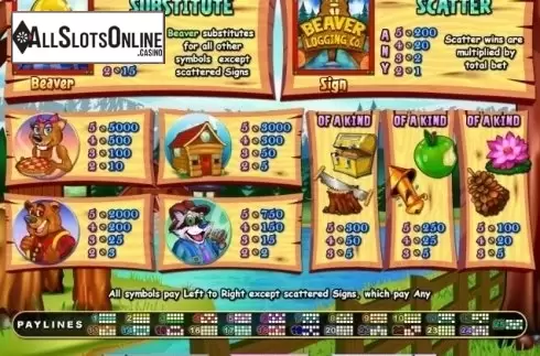 Paytable. Builder Beaver from RTG