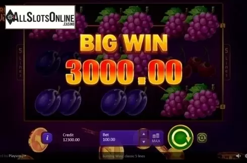 Big win 2. Burning Wins: classic 5 lines from Playson