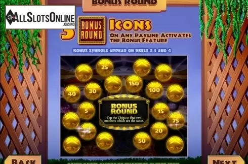 Screen3. Cash Garden from MultiSlot