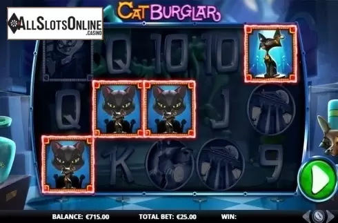 Bonus game win screen. Cat Burglar from GamesLab