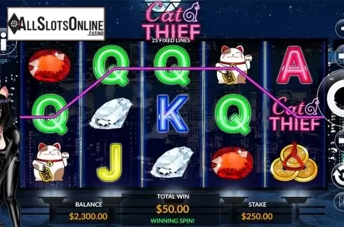 Game workflow 4. Cat Thief from Maverick