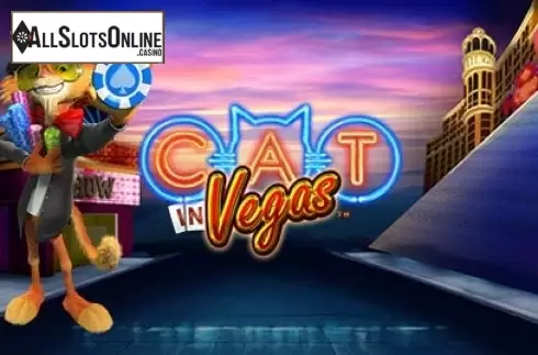 Cat in Vegas