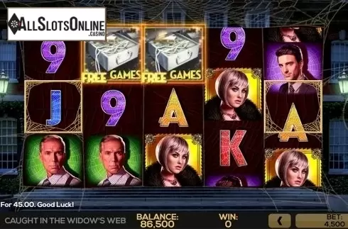 Game workflow 2. Caught in the Widow's Web from High 5 Games