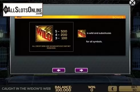 Paytable 3. Caught in the Widow's Web from High 5 Games