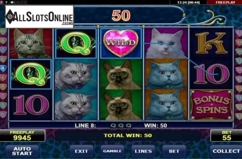 Screen7. Diamond Cats from Amatic Industries