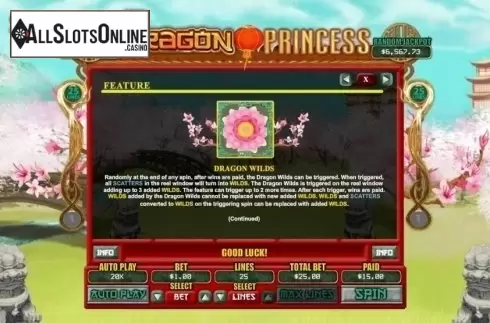 Feature 1. Dragon Princess (RTG) from RTG
