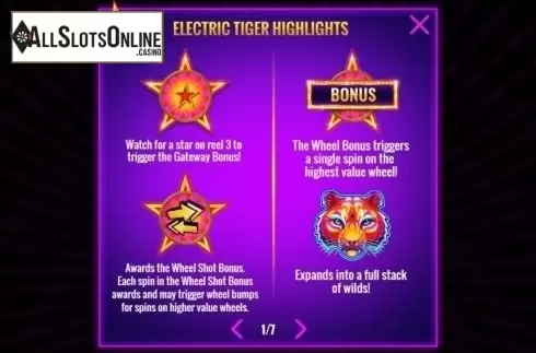 Paytable 1. Electric Tiger from IGT