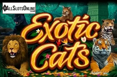 Exotic Cats