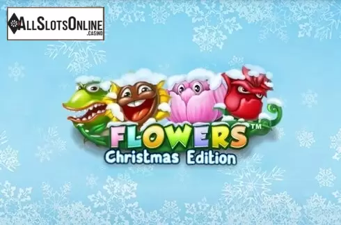 Flowers Christmas Edition