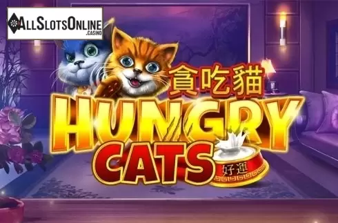 Hungry Cats