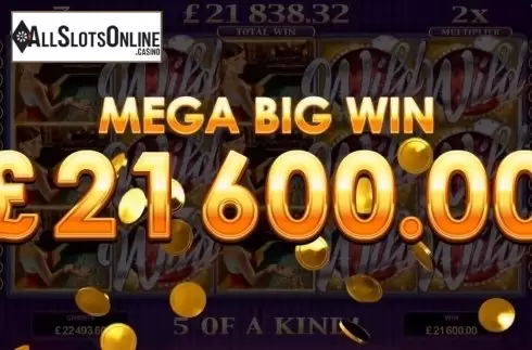 Mega Big Win. Life of Riches from Microgaming