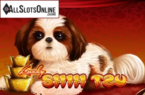Lucky Shih Tzu