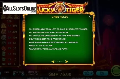Game Rules. Lucky Tiger (Rocksalt Interactive) from Rocksalt Interactive