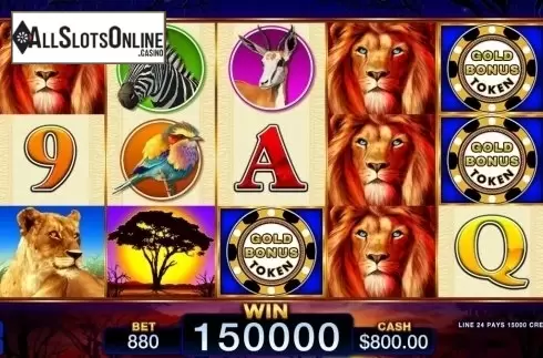 Reel Screen. Majestic Lions from Wild Streak Gaming