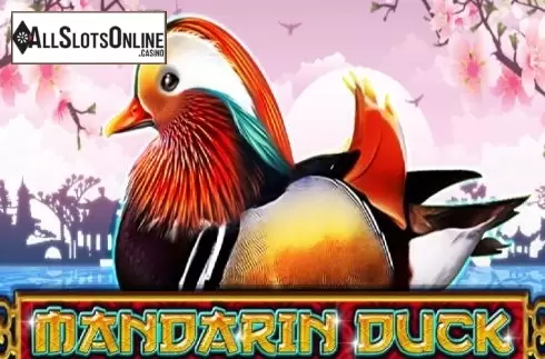 Mandarin Duck