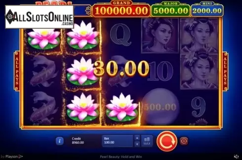 Win Screen 3. Pearl Beauty Hold and Win from Playson