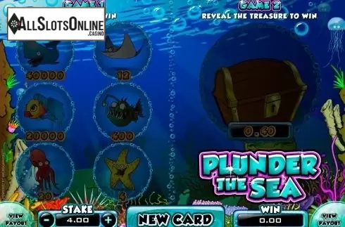 Reels screen. Plunder The Sea from Microgaming