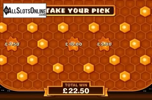 Screen 4. Pollen Party Online Slot from Microgaming
