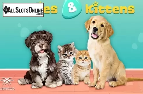 Puppies and Kittens