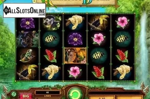 Screen 1. Rainforest Dream from WMS