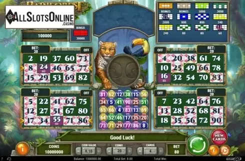 Game Screen 3. Rainforest Magic Bingo from Play'n Go
