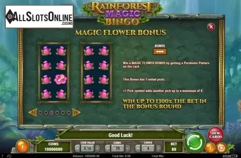 Game Rules 3. Rainforest Magic Bingo from Play'n Go