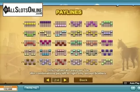 Paytable 2. Reel Bandits from NeoGames