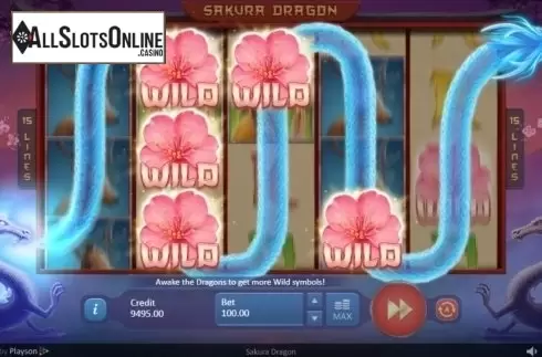 Feature. Sakura Dragon from Playson