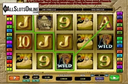 Wild. Secrets of the tomb from 2by2 Gaming
