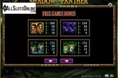 Screen9. Shadow of the Panther from High 5 Games