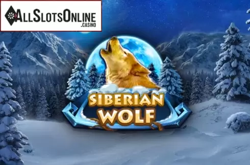 Siberian Wolf