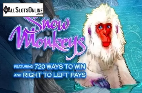 Snow Monkeys