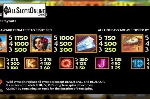 Paytable. The Party Guy from Nucleus Gaming