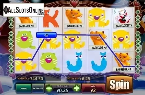 Win Screen 2. The Purrfect Match from BetConstruct